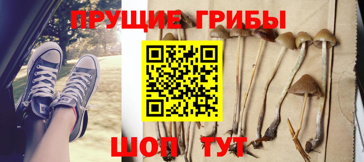Псилоцибиновые грибы ЛСД  где продают наркотики  Городец  Вход с VPN 
